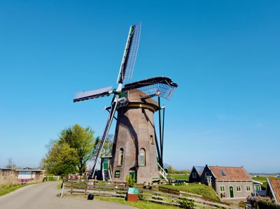 Tulipanes 2026 — 38 · Leimuiden