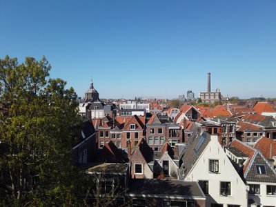 Tulipanes 2026 — 34 · Leiden