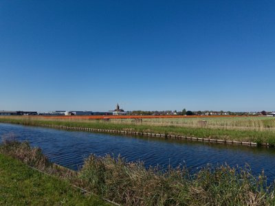 Tulipanes 2026 — 26 · Hillegom