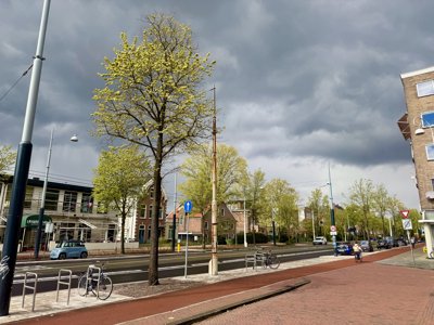 Tulipanes 2026 — 01 · Duivendrecht