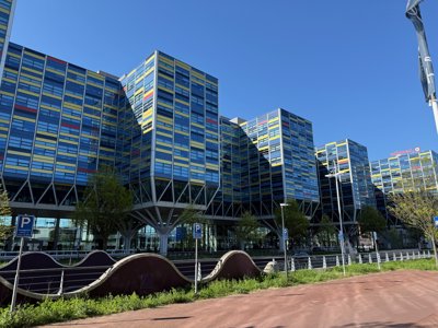 Tulipanes 2026 — 35 · Leiden