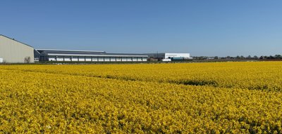 Tulipanes 2026 — 22 · Lisse