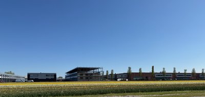 Tulipanes 2026 — 12 · Heemstede