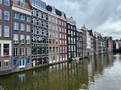 Tulipanes 2026 — 03 · Amsterdam