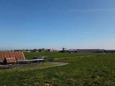 Tulipanes 2026 — 39 · Leimuiden